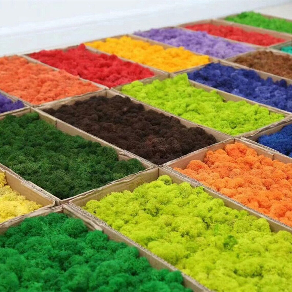 Sphagnum Moss Dry - Artificial Green Plants Mini Landscape Eternal