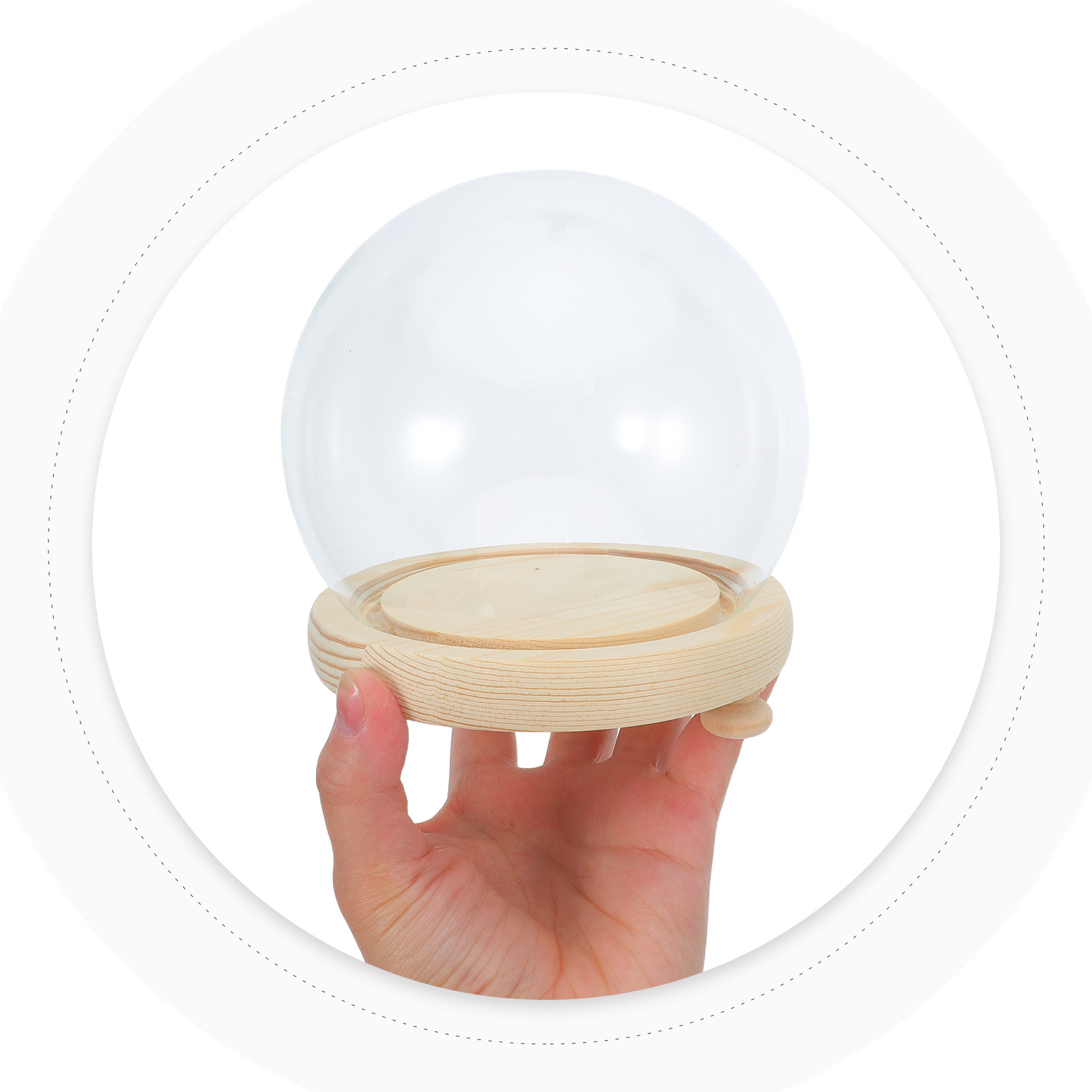 Plastic Dome Clear - Preserved Flower Glass Dome Elegant Clear