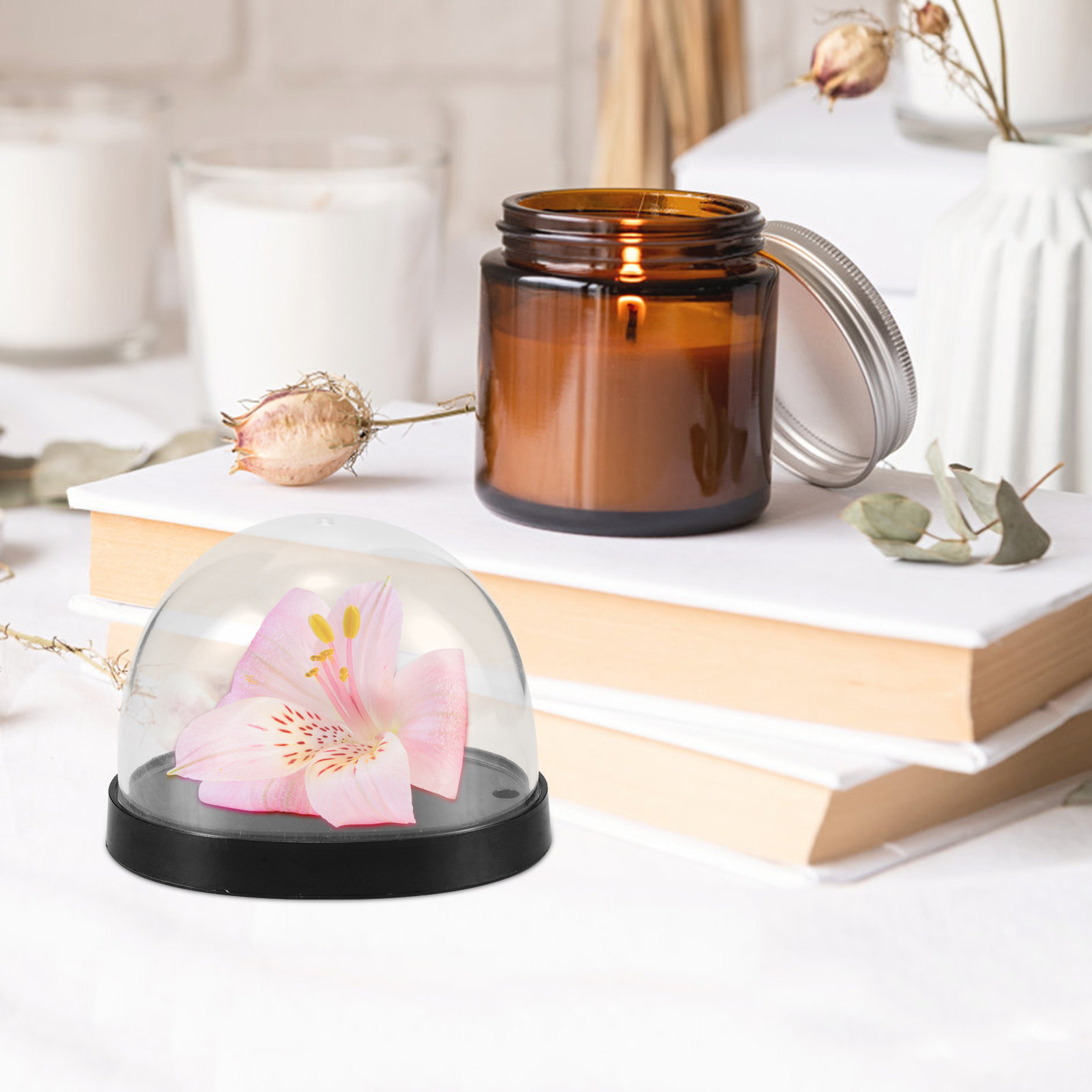 5Sets Glass Cloche Dome High T - đánh giá và giá Plastic Dome Clear