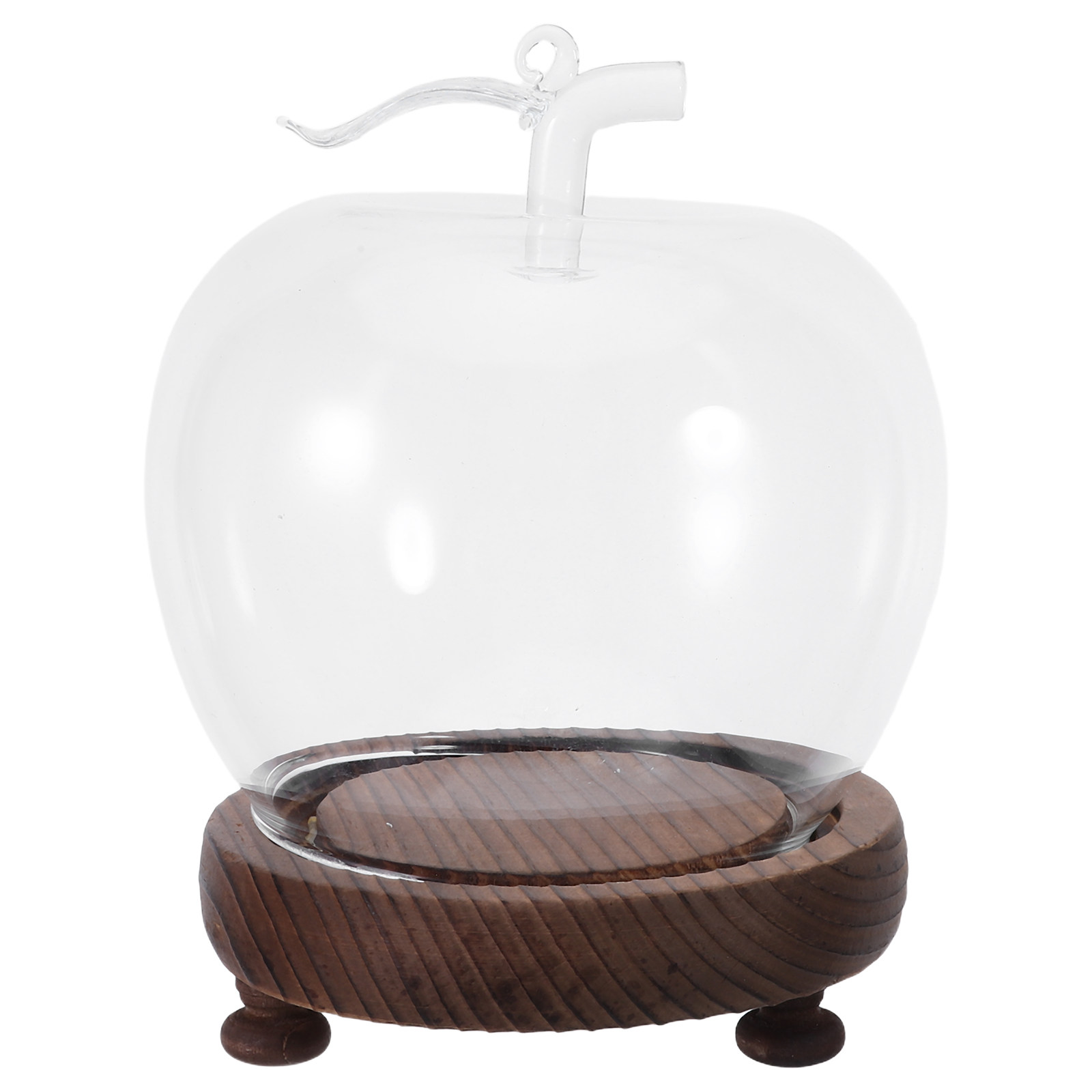Glass Dome Cloche Clear Displa - đánh giá và giá Plastic Dome Clear