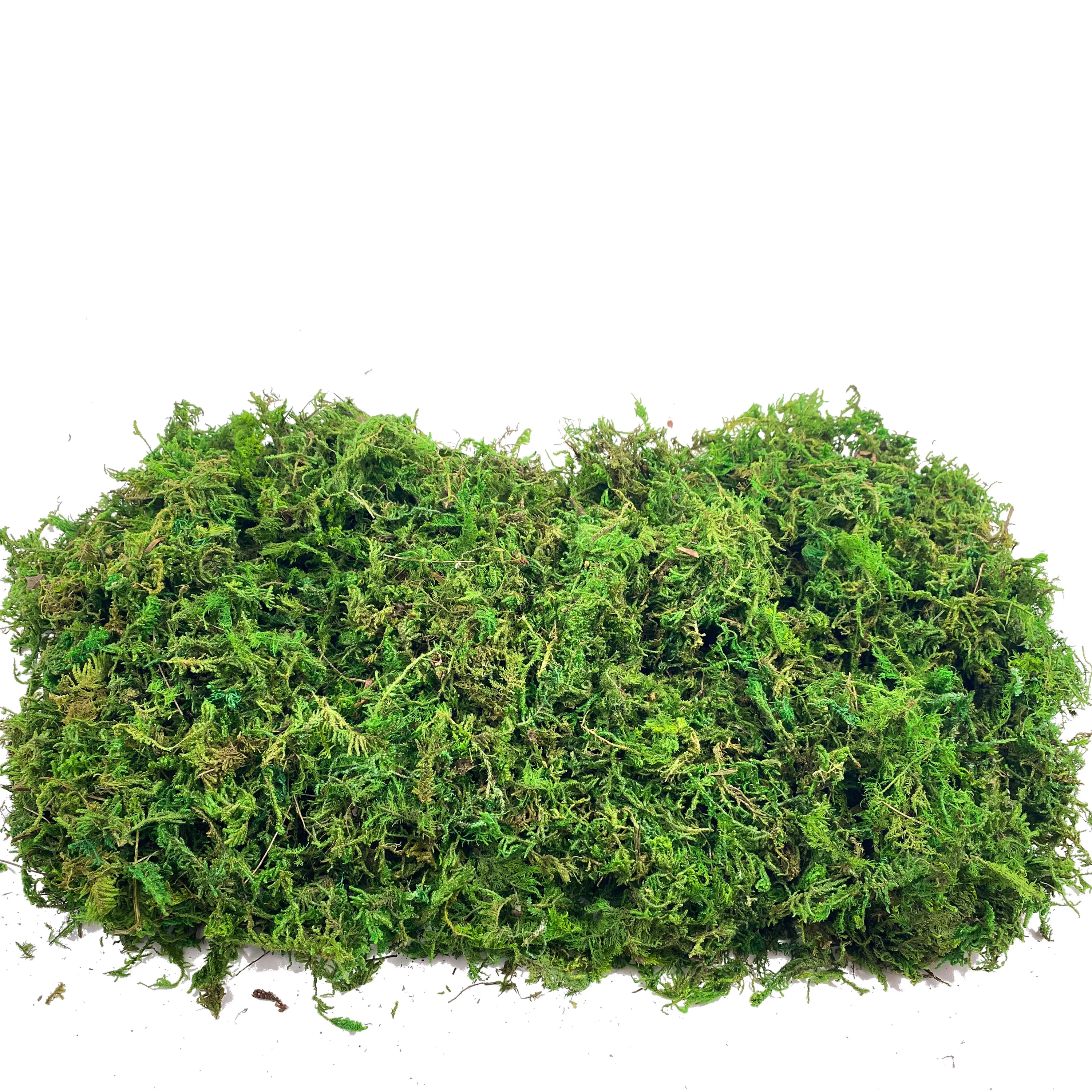 Fake Moss Artificial Moss for  - đánh giá và giá Sphagnum Moss Dry