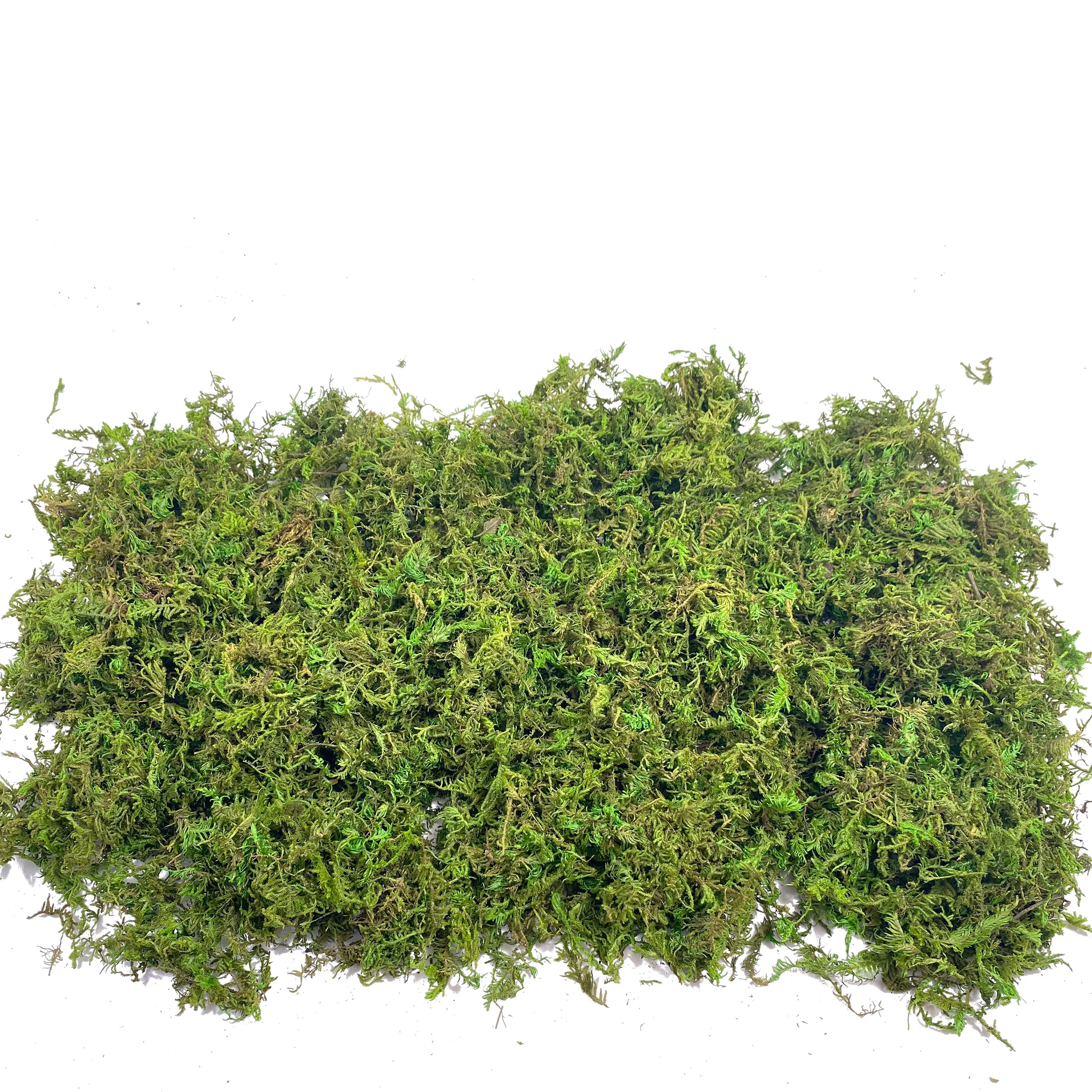 Fake Moss Artificial Moss for  - đánh giá và giá Sphagnum Moss Dry