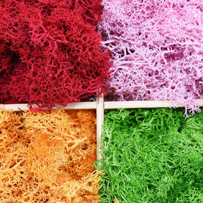 20/40g Artificial Green Plants - đánh giá và giá Sphagnum Moss Dry