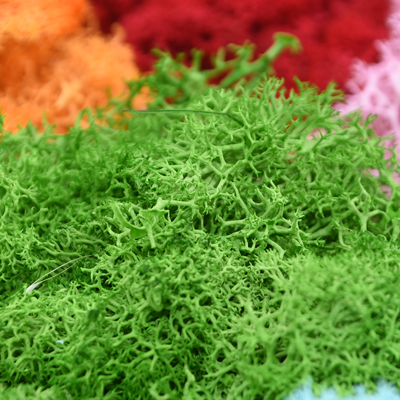 20/40g Artificial Green Plants - đánh giá và giá Sphagnum Moss Dry