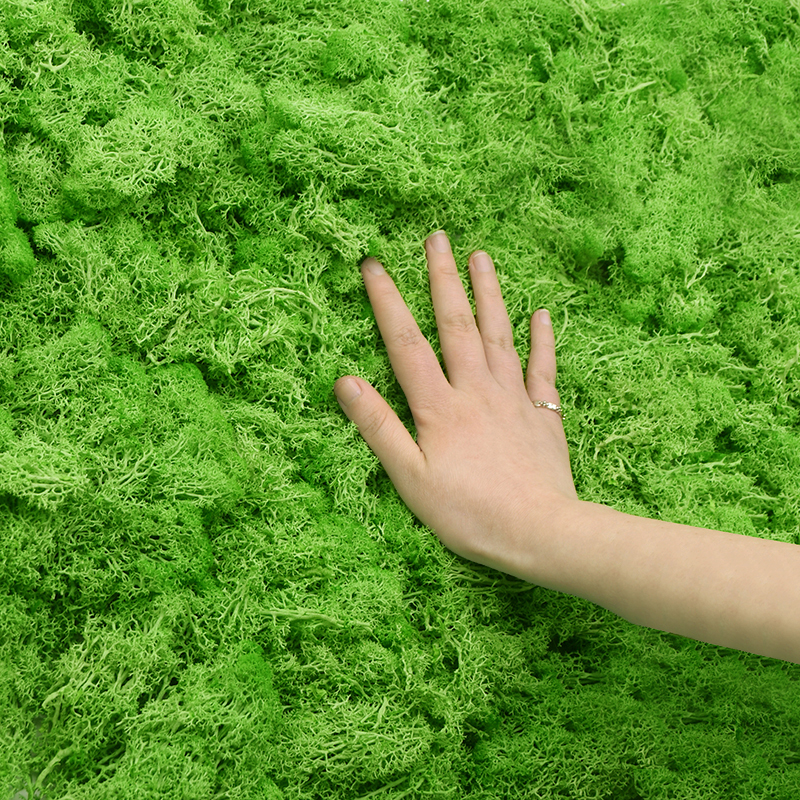 20/40g Artificial Green Plants - đánh giá và giá Sphagnum Moss Dry