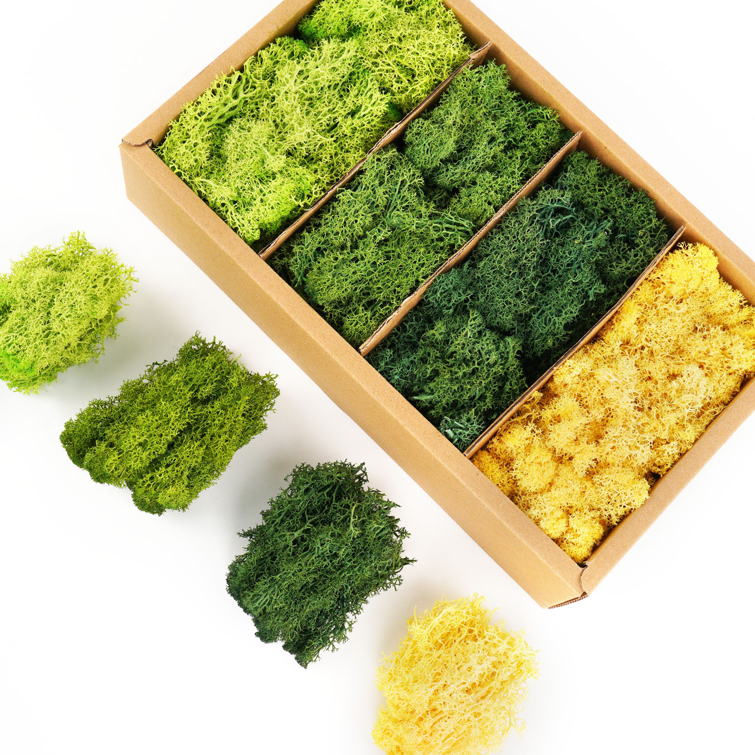 Artificial Green Plants Eterna - đánh giá và giá Sphagnum Moss Dry