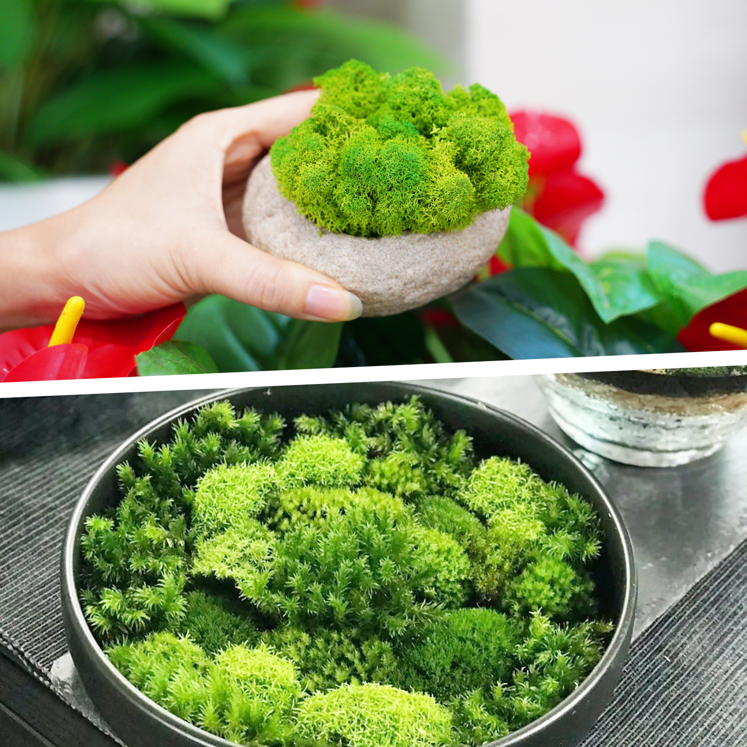 Artificial Green Plants Eterna - đánh giá và giá Sphagnum Moss Dry
