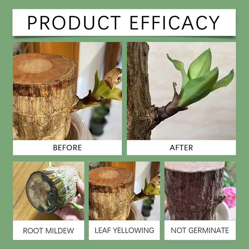 SIKEZHAN 110ml Liquid Plant Fo - đánh giá và giá Root Stimulator Liquid