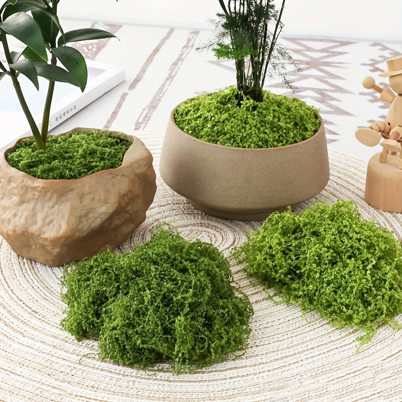 20g/0.7oz Artificial Garden Fa - đánh giá và giá Sphagnum Moss Dry