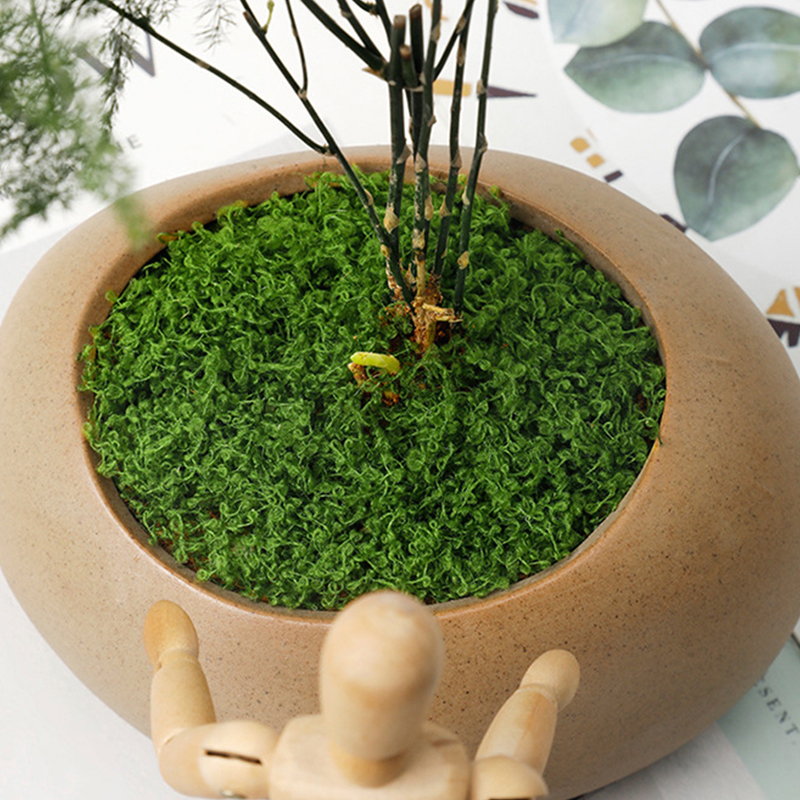 20g/0.7oz Artificial Garden Fa - đánh giá và giá Sphagnum Moss Dry