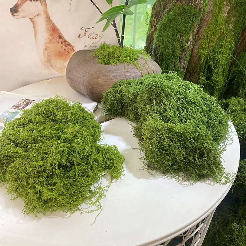 20g/0.7oz Artificial Garden Fa - đánh giá và giá Sphagnum Moss Dry