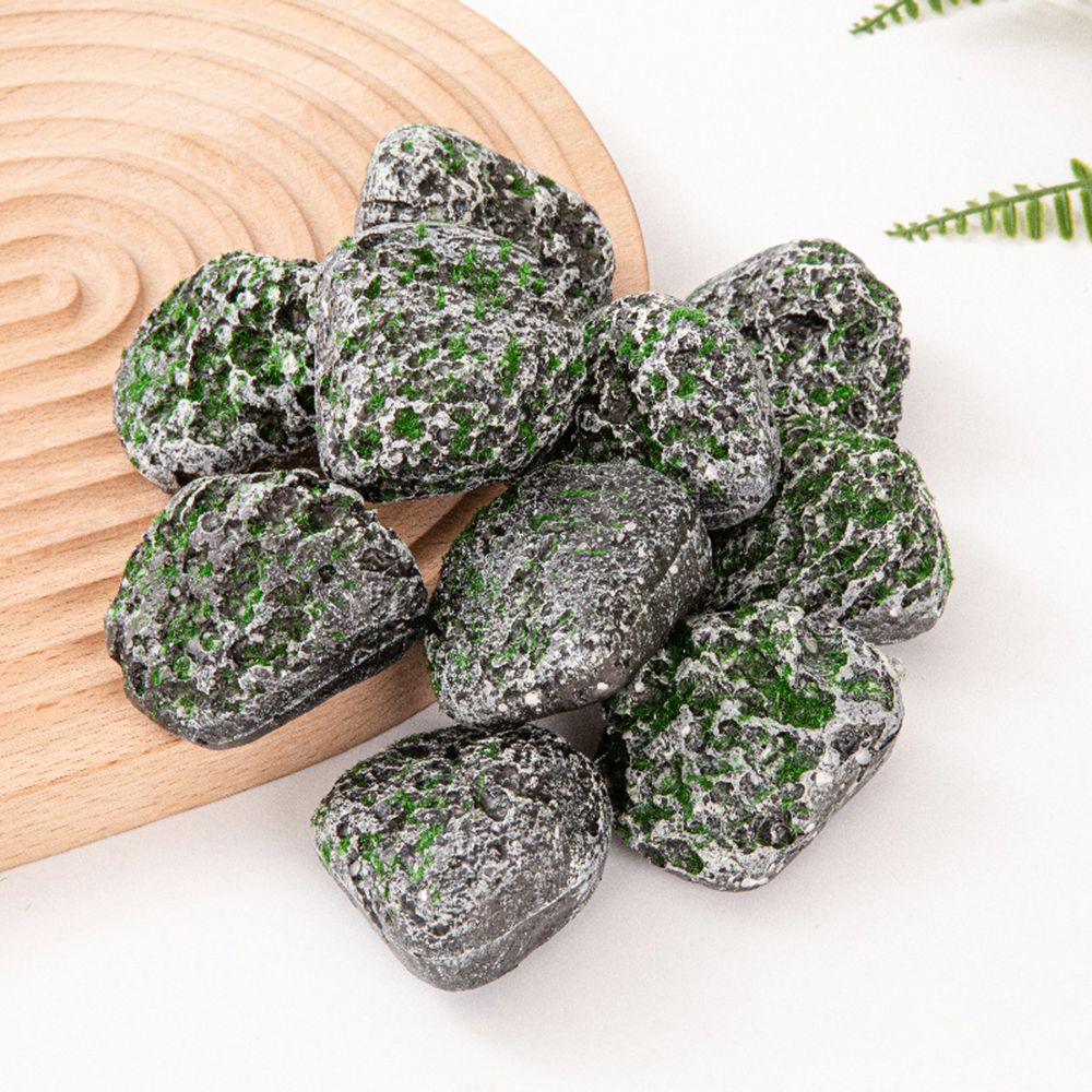 10PCS Mossy Gray Stone Multi-s - đánh giá và giá Sphagnum Moss Dry