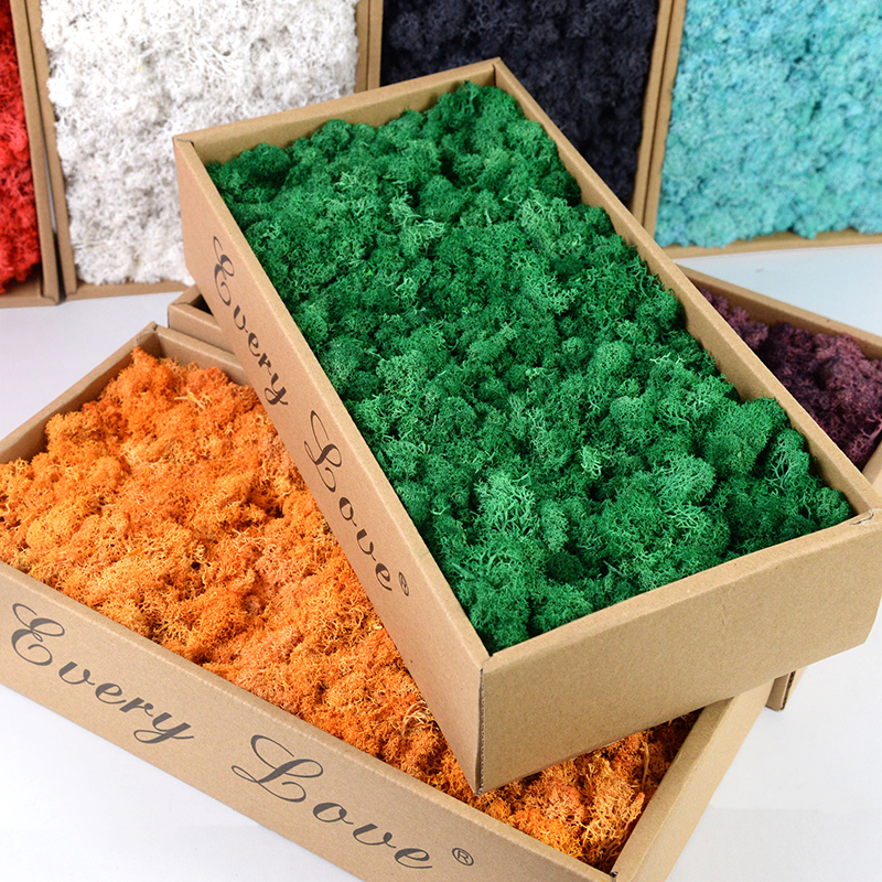 40/20g Artificial Immortal Mos - đánh giá và giá Sphagnum Moss Dry