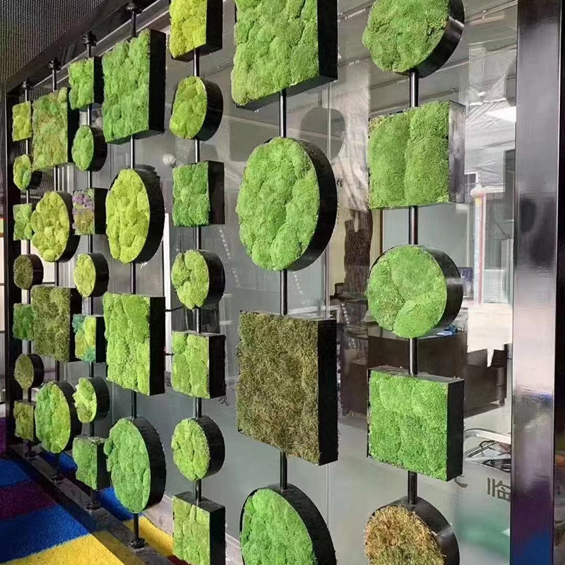 40/20g Artificial Immortal Mos - đánh giá và giá Sphagnum Moss Dry