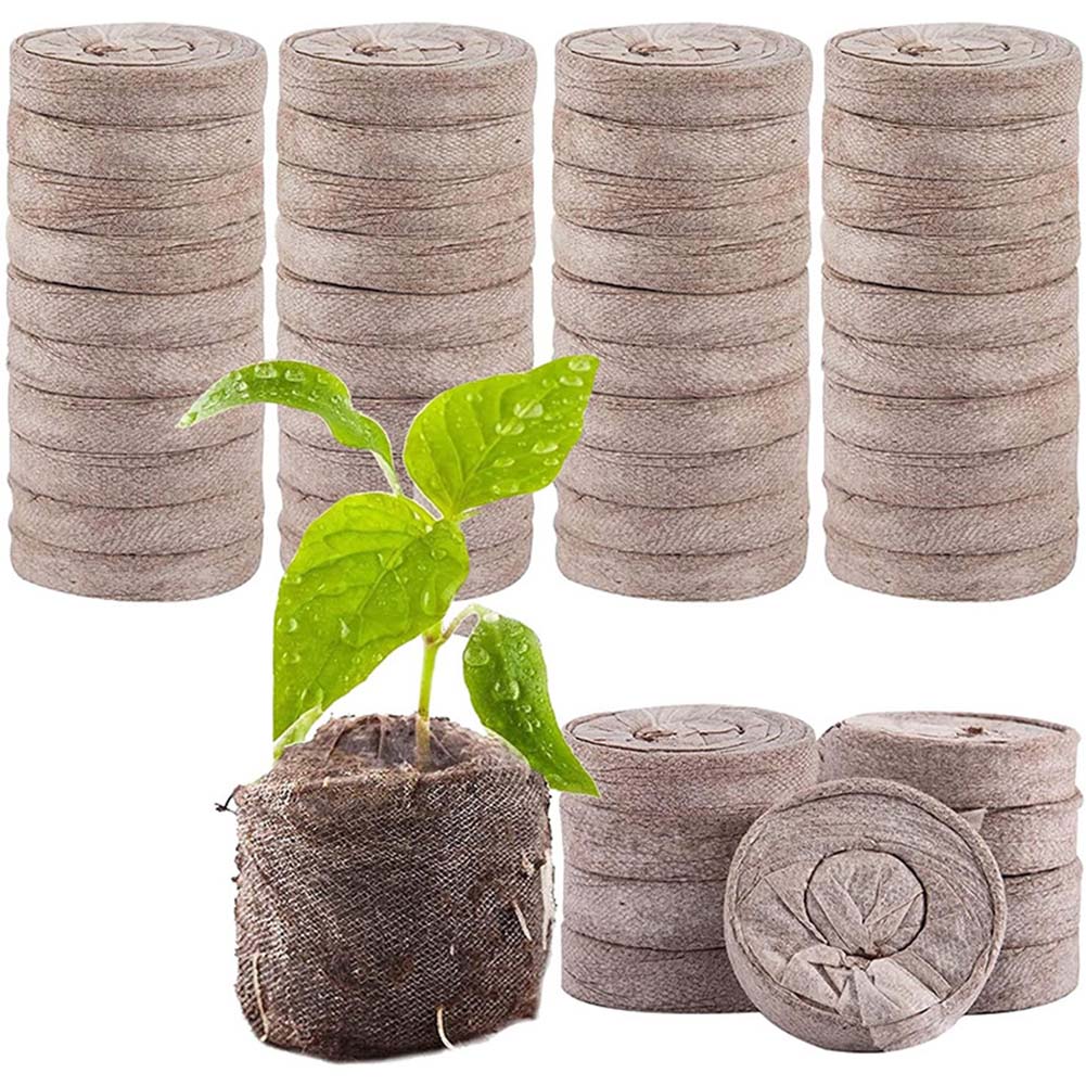 50/100 Pellet PacksSeedling Bl - đánh giá và giá Peat Pellet Tray