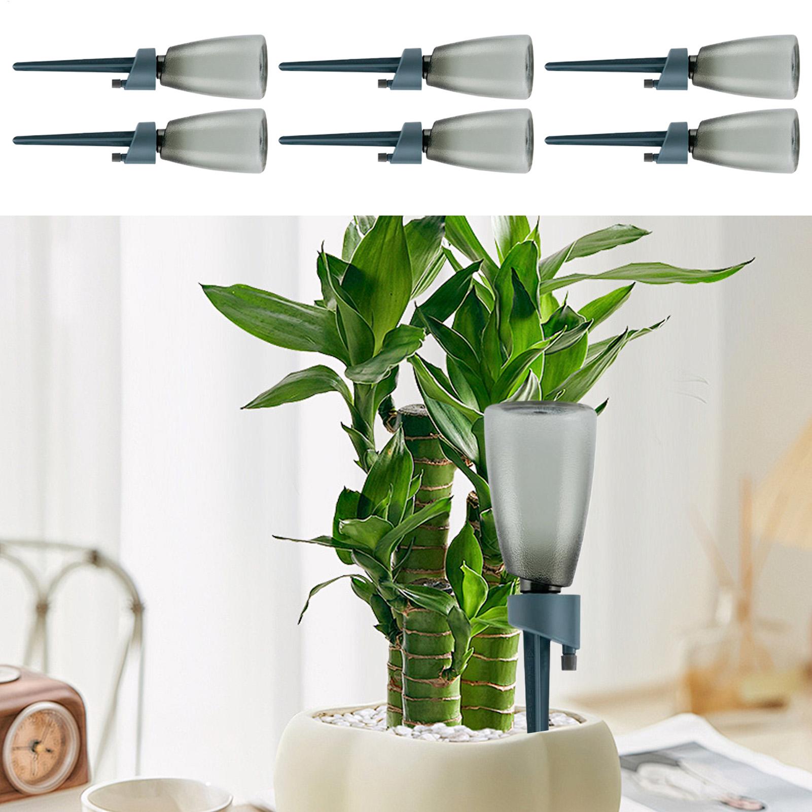 6pcs Automatic Waterer Househo - đánh giá và giá Self Watering Insert