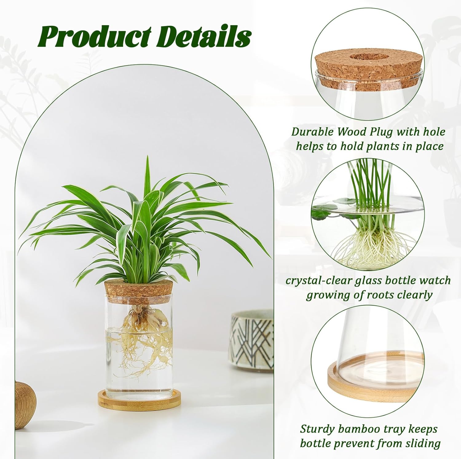 6 Pcs Plants Propagation Stati - đánh giá và giá Propagation Station Vase