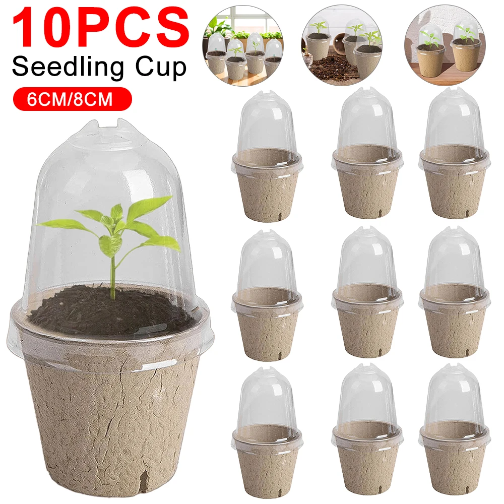 10pcs Garden Round Peat Pots P - đánh giá và giá Peat Pellet Tray