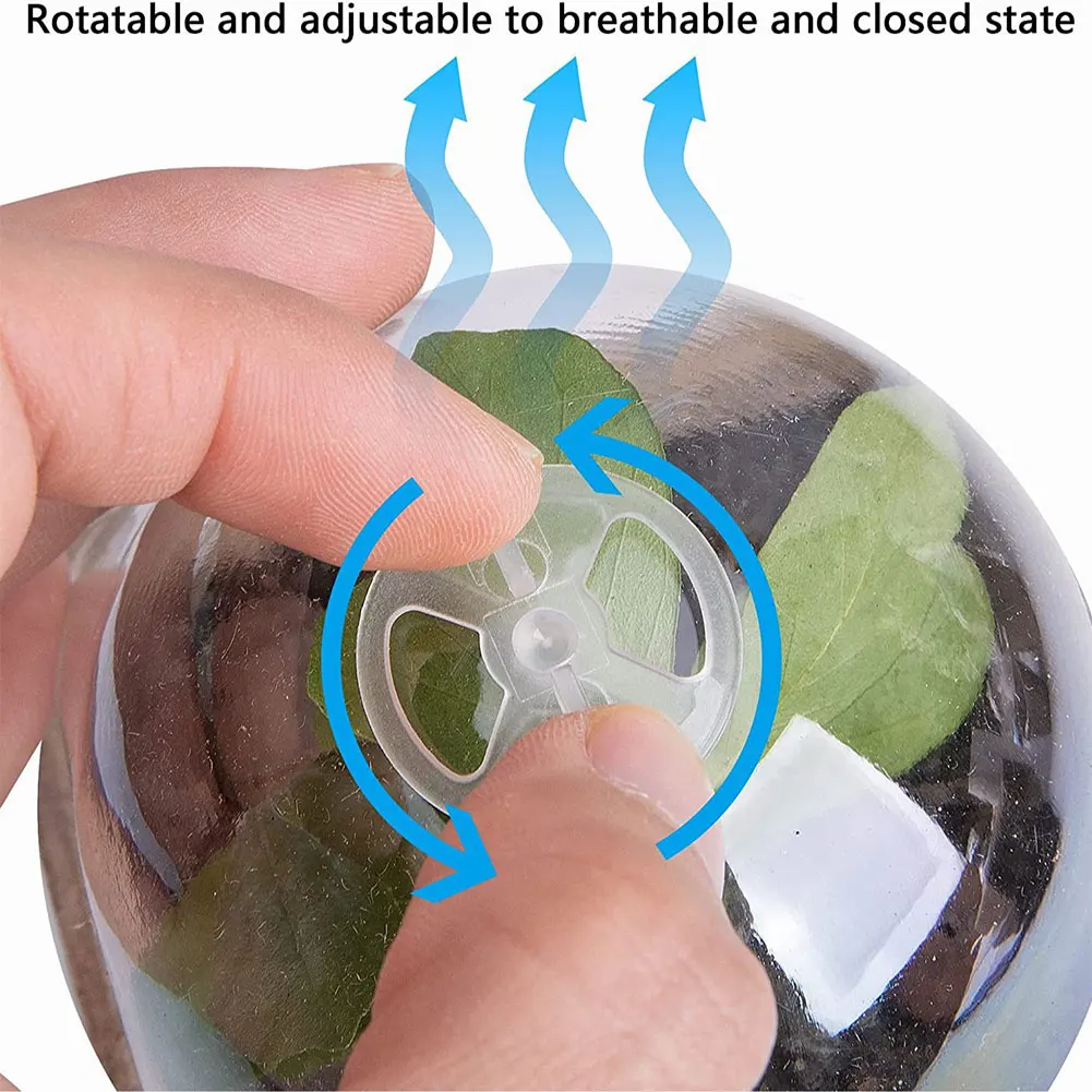 10pcs Garden Round Peat Pots P - đánh giá và giá Peat Pellet Tray