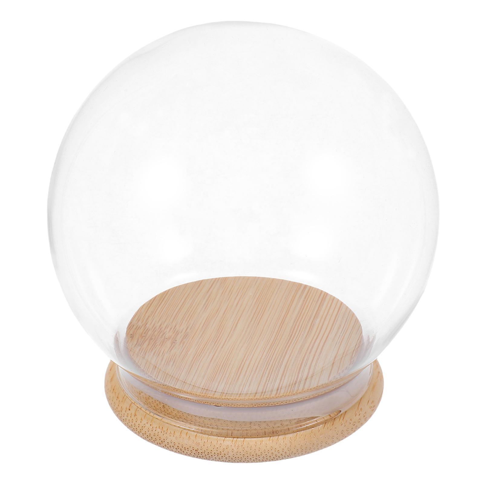 Glass Dome Eternal Flower Disp - đánh giá và giá Plastic Dome Clear