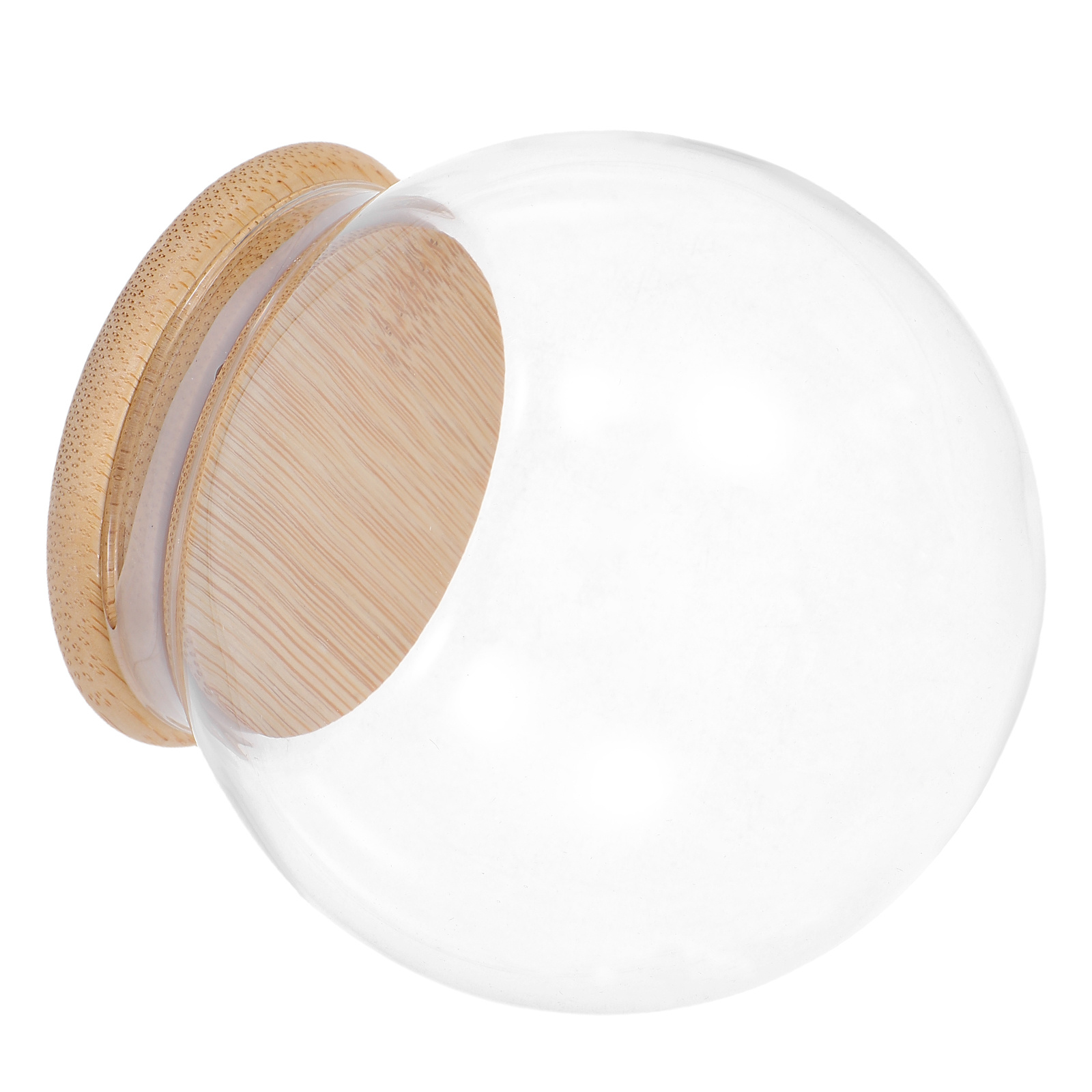 Glass Dome Eternal Flower Disp - đánh giá và giá Plastic Dome Clear