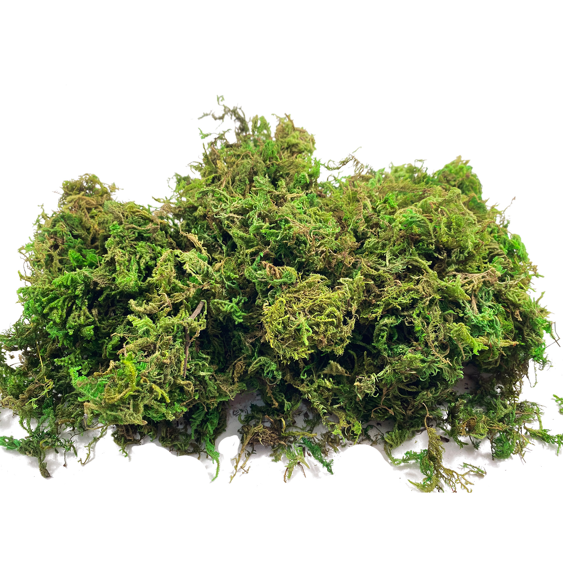 Artificial Fake Moss, Craft Mo - đánh giá và giá Sphagnum Moss Dry