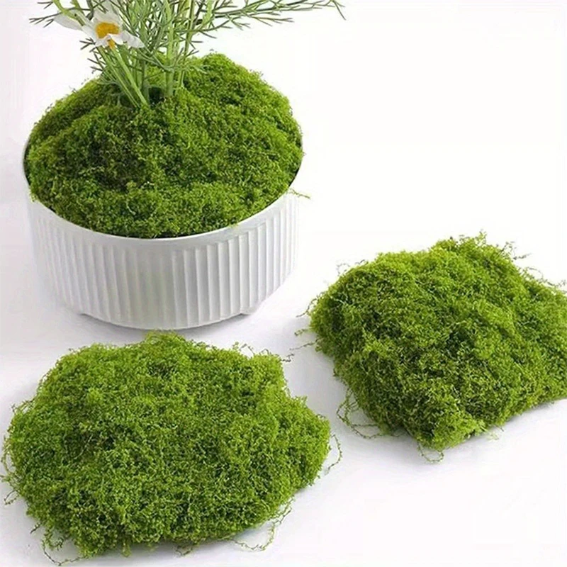 1 \ 5 \ 8 pcs artificial simul - đánh giá và giá Sphagnum Moss Dry