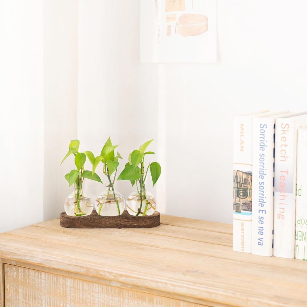 Desktop Plant Propagation Stat - đánh giá và giá Propagation Station Vase