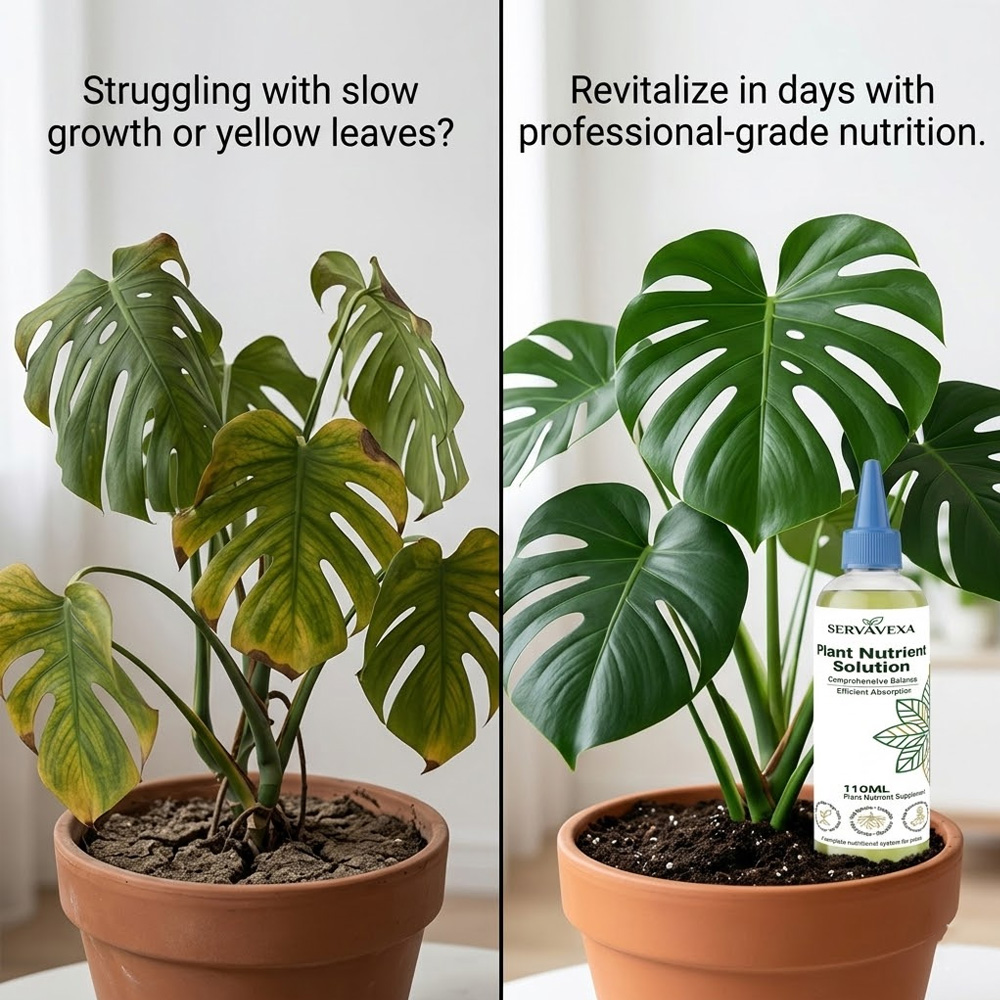 Plant  Nutrient Solution Rapid - đánh giá và giá Root Stimulator Liquid