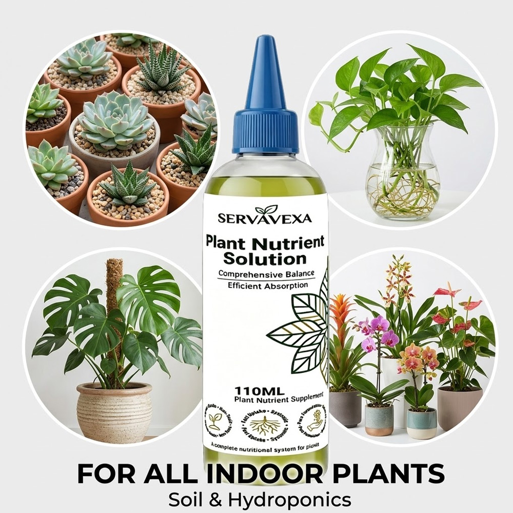 Plant  Nutrient Solution Rapid - đánh giá và giá Root Stimulator Liquid