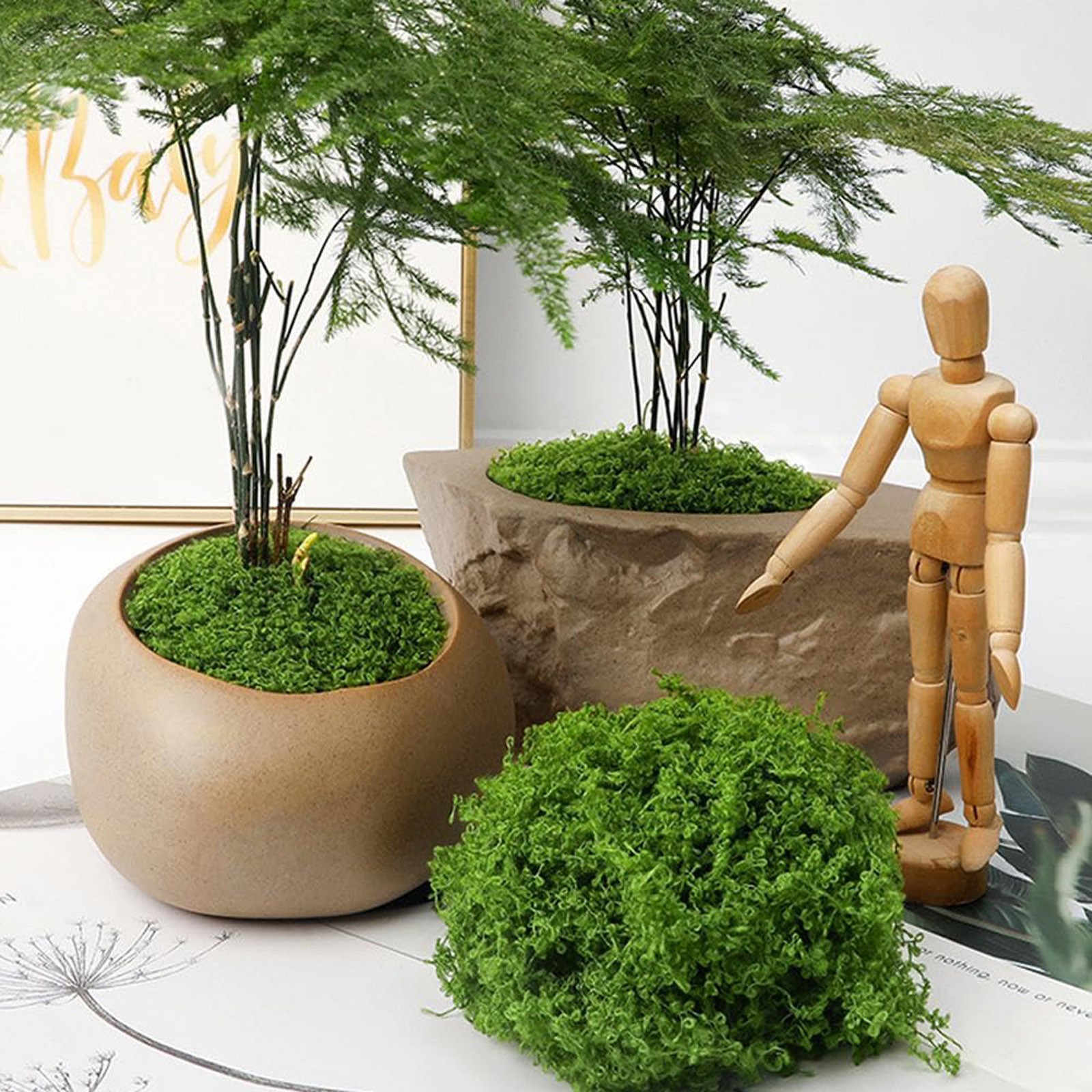 50/200g Artificial Moss For De - đánh giá và giá Sphagnum Moss Dry