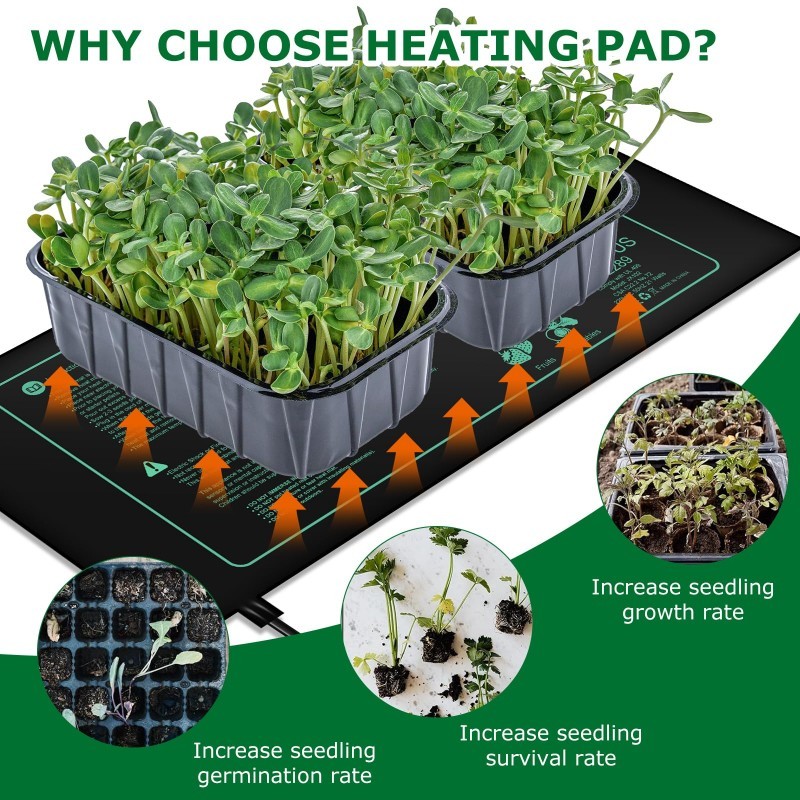 Seedling Heating Mat  Indoor P - đánh giá và giá Rooting Gel Clone
