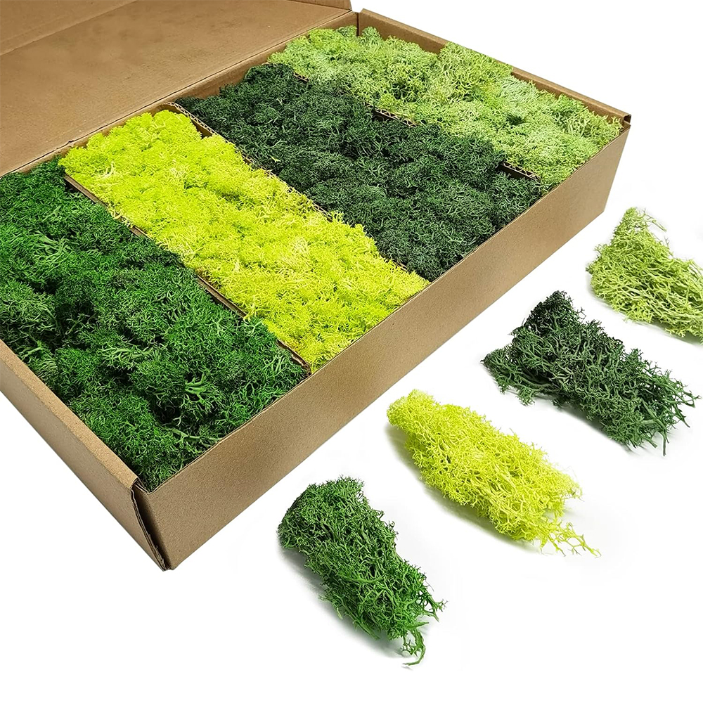 Artificial Green Plants Eterna - đánh giá và giá Sphagnum Moss Dry