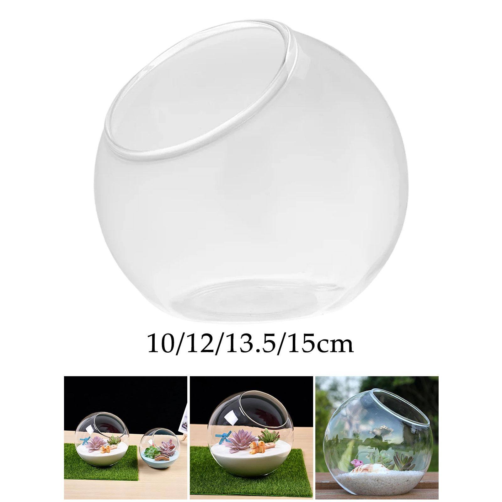 Terrarium Glass Vase Unique Ce - đánh giá và giá Propagation Station Vase