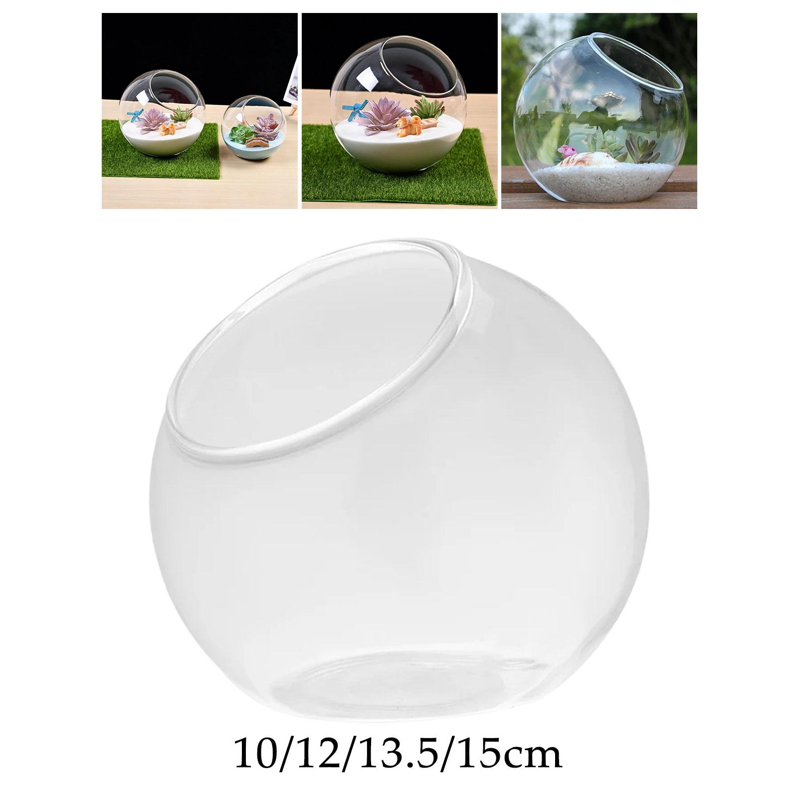 Terrarium Glass Vase Unique Ce - đánh giá và giá Propagation Station Vase