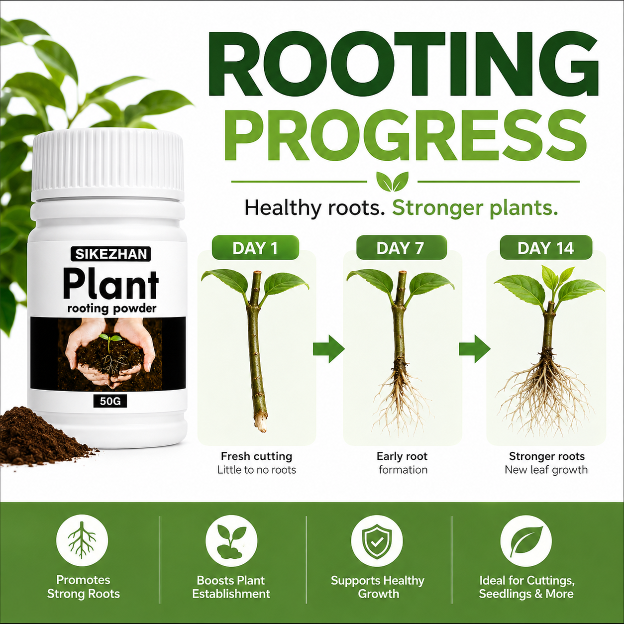 50g Rapid Rooting Powder Plant - đánh giá và giá Rooting Hormone Powder