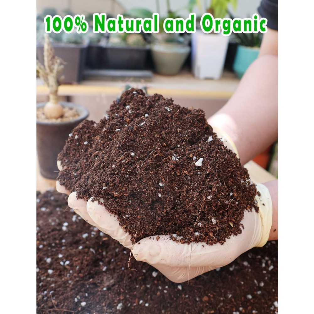 Potting Soil for All Indoor Ho - đánh giá và giá Coco Perlite Mix