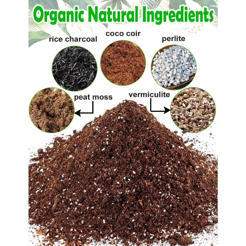Potting Soil for All Indoor Ho - đánh giá và giá Coco Perlite Mix