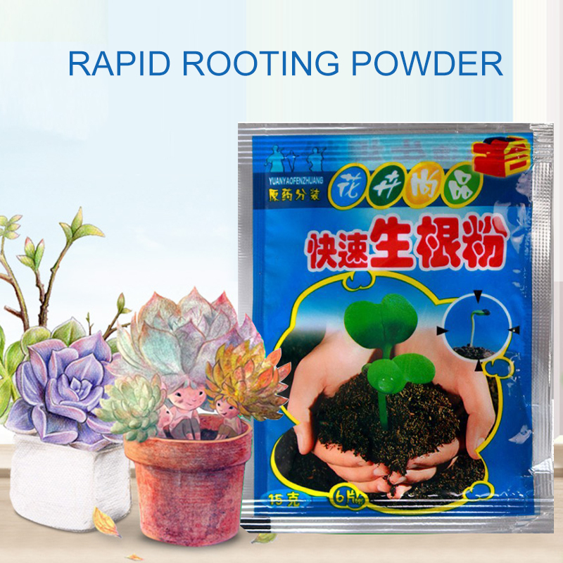 5pcs Fast Rooting Powder Plant - đánh giá và giá Rooting Hormone Powder