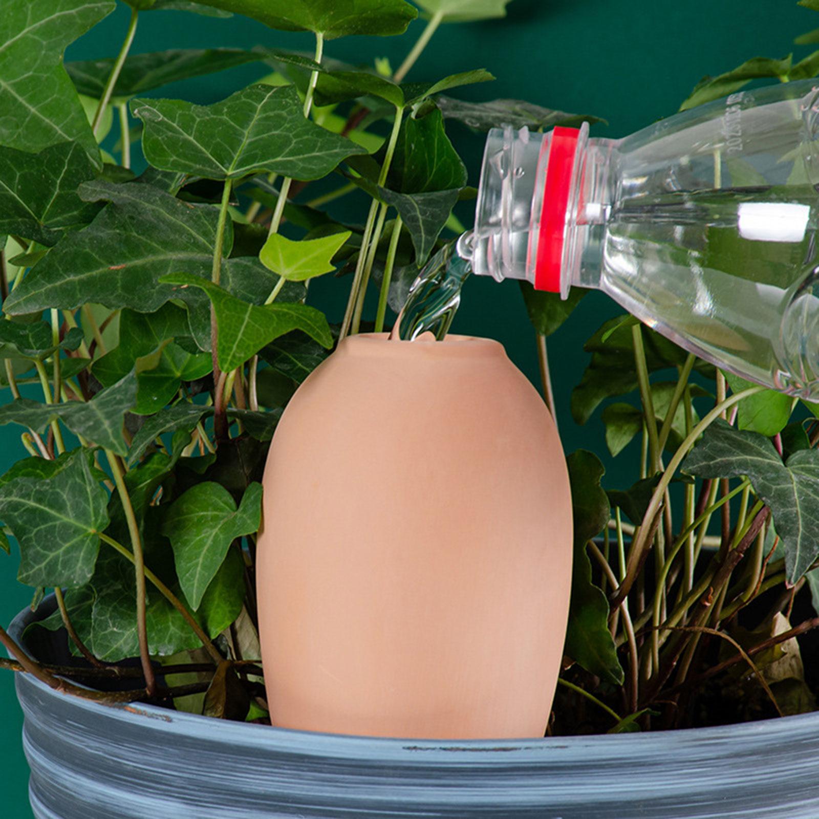 Self Watering Pot Inserts Auto - đánh giá và giá Self Watering Insert