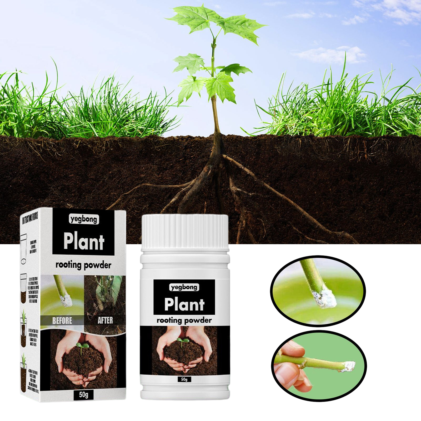 1Rare Plant Rooting Powder Pla - đánh giá và giá Rooting Hormone Powder