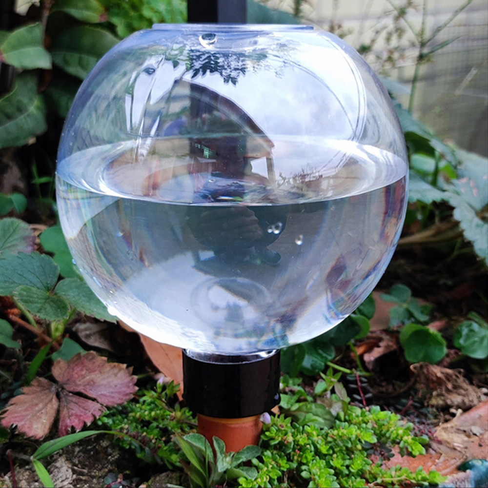 2PCS/4PCS Spherical Automatic  - đánh giá và giá Self Watering Insert