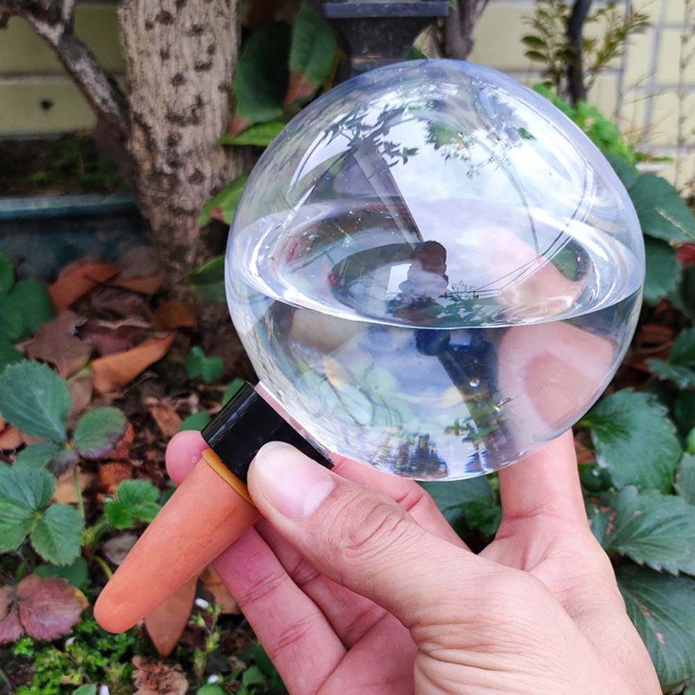 2PCS/4PCS Spherical Automatic  - đánh giá và giá Self Watering Insert