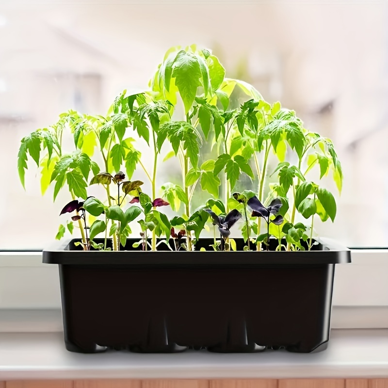 Seedling Starter Kit 1/2/3 Set - đánh giá và giá Humidity Dome Kit