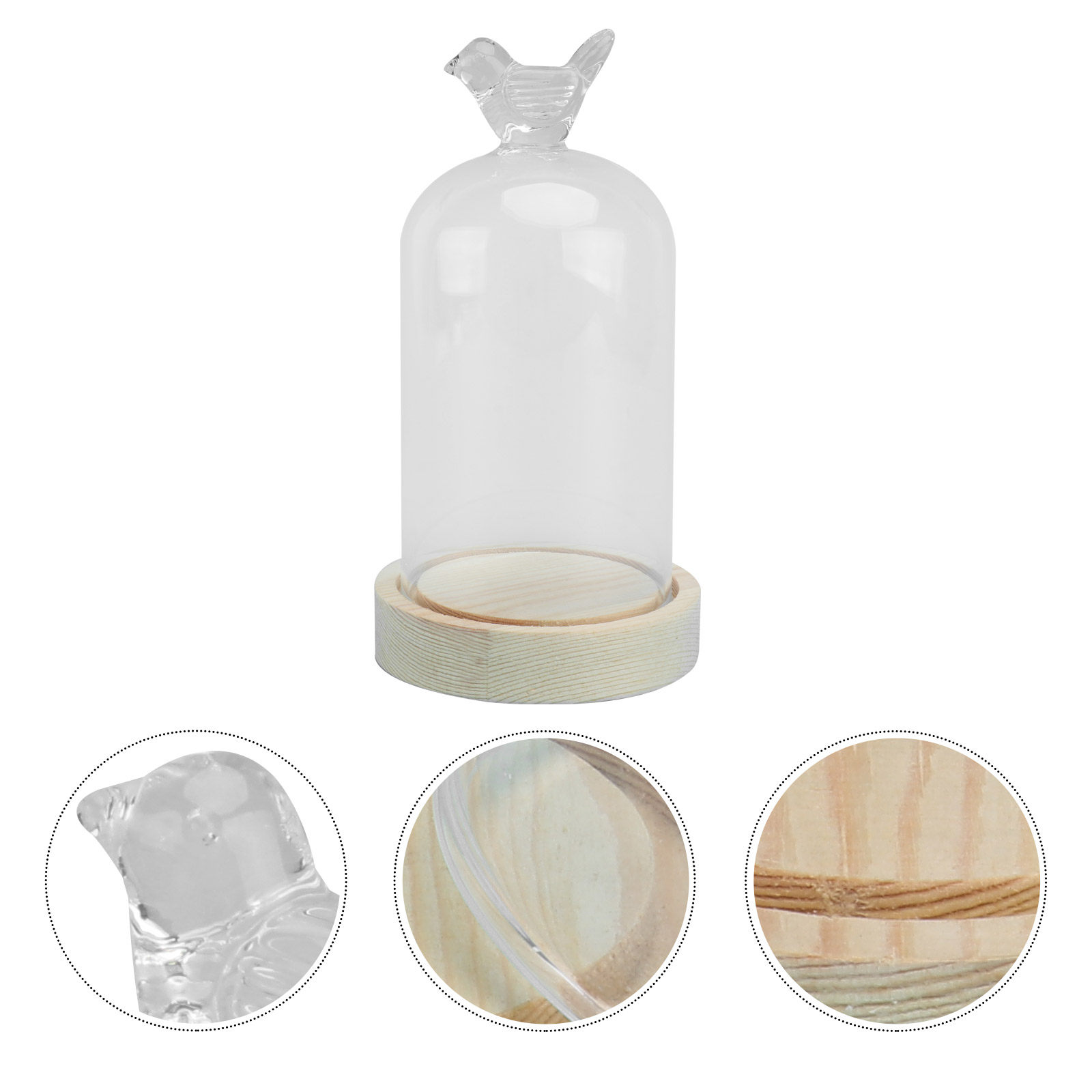1Pcs Mini Glass Dome Cover Bir - đánh giá và giá Plastic Dome Clear