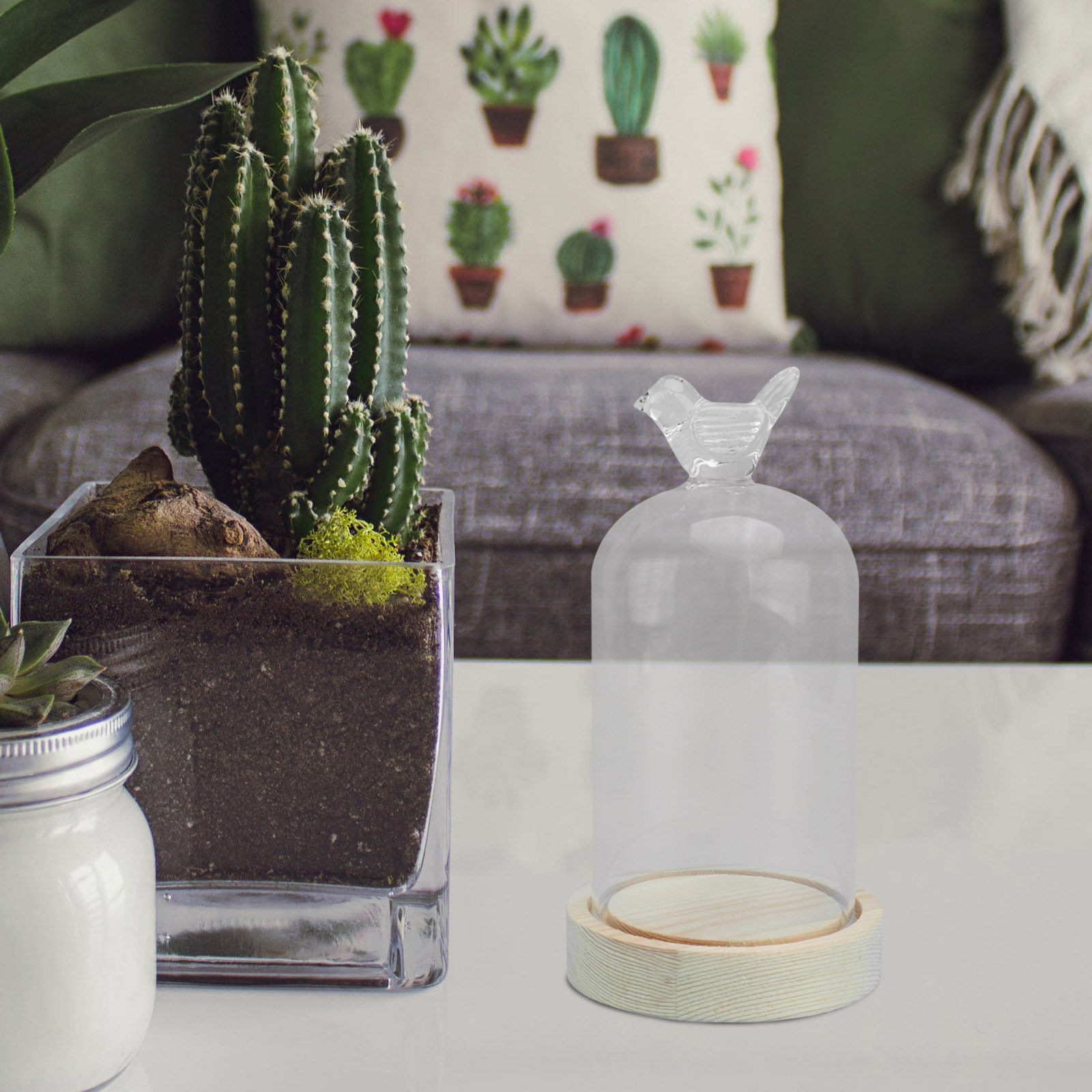 1Pcs Mini Glass Dome Cover Bir - đánh giá và giá Plastic Dome Clear