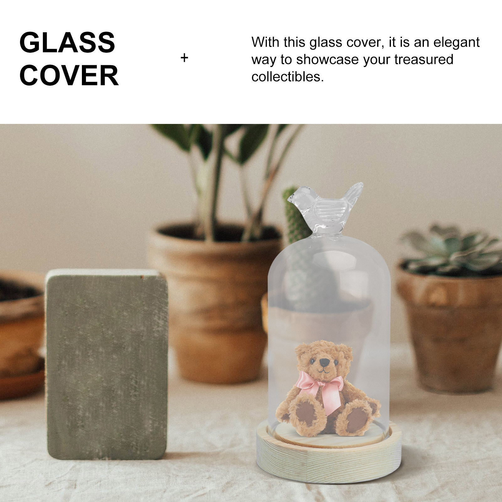 1Pcs Mini Glass Dome Cover Bir - đánh giá và giá Plastic Dome Clear