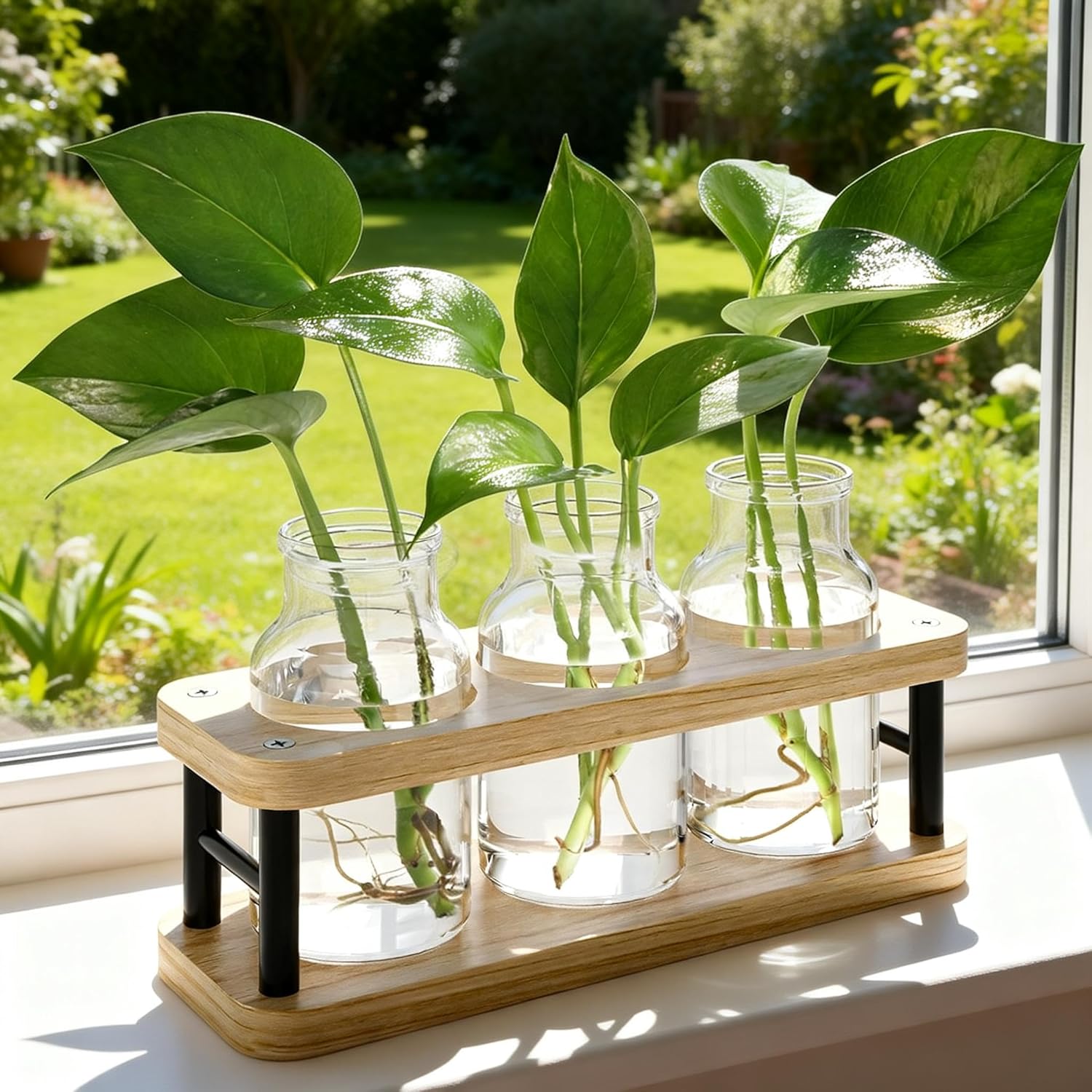 Propagation Station with Woode - đánh giá và giá Propagation Station Vase