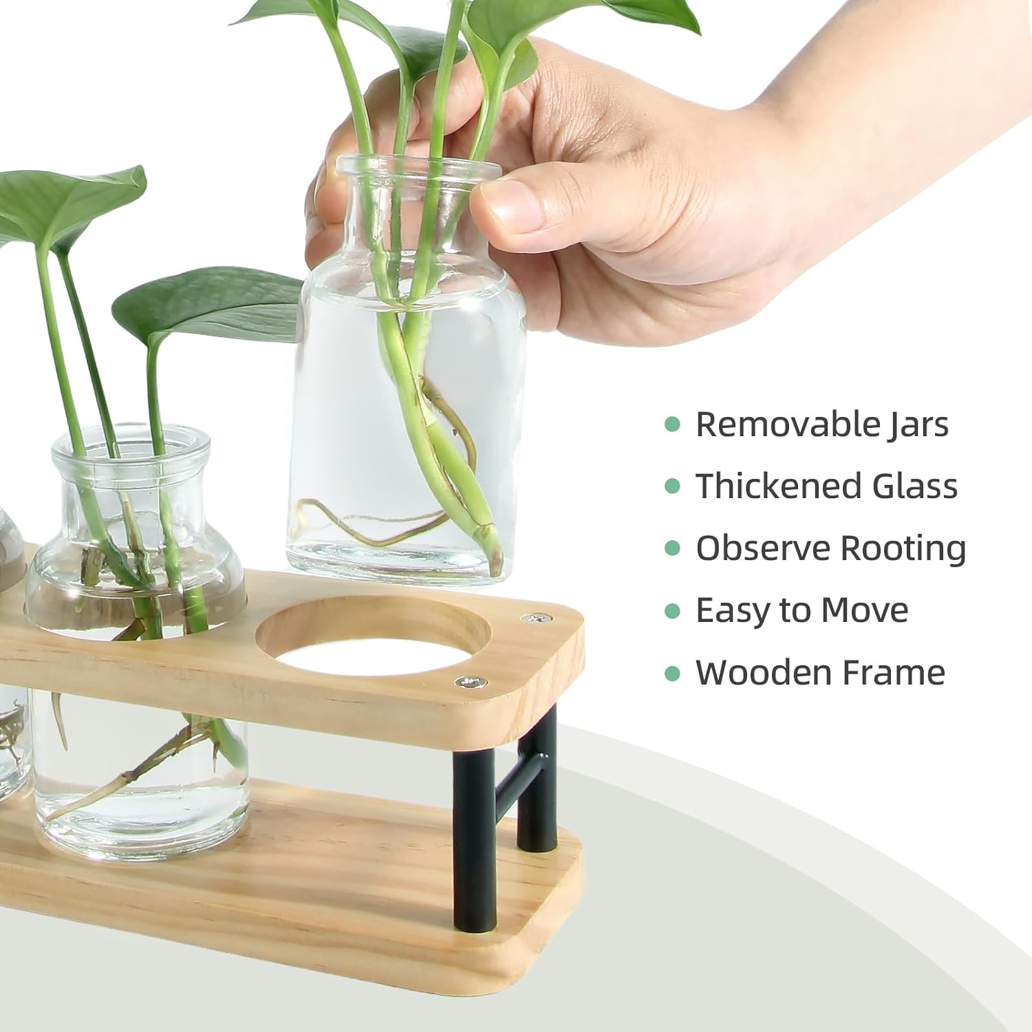 Propagation Station with Woode - đánh giá và giá Propagation Station Vase