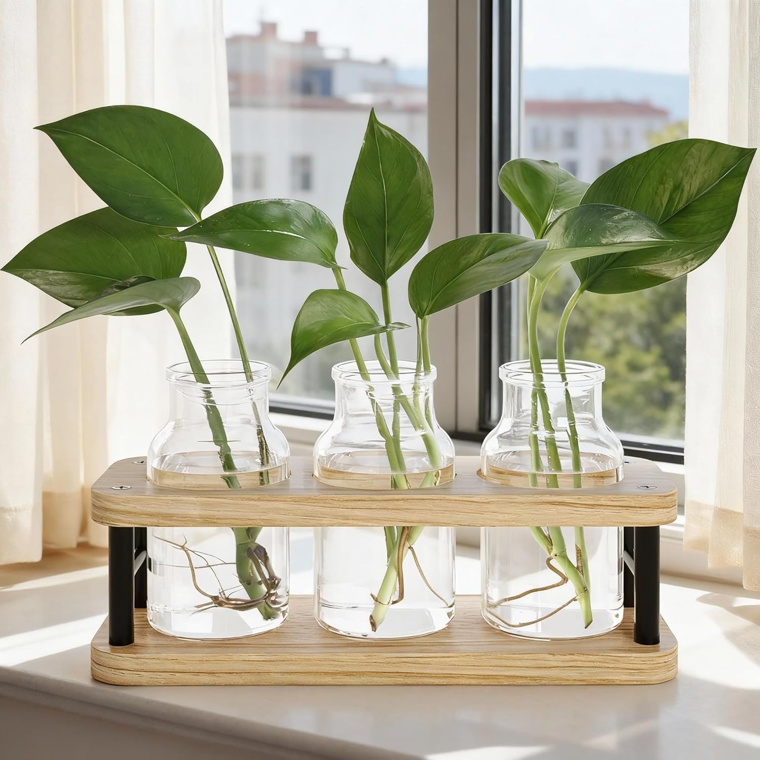 Propagation Station with Woode - đánh giá và giá Propagation Station Vase